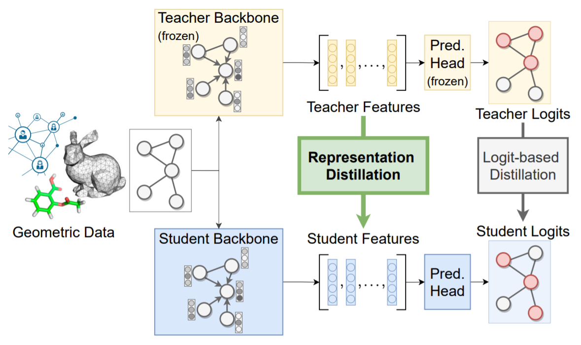 Representation knowledge distillation for Graph Neural Networks