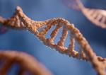 Getting started with 3D RNA modelling as a machine learner