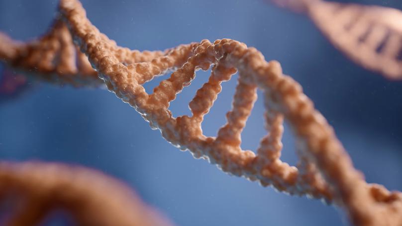 Getting started with 3D RNA modelling as a machine learner