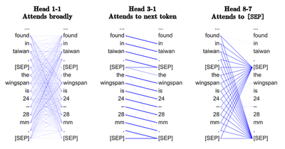 Source: [Clark et al., 2019](https://arxiv.org/abs/1906.04341)