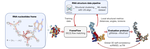 RNA-FrameFlow: Flow Matching for de novo 3D RNA Backbone Design