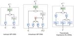 Benchmarking Graph Neural Networks