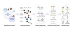 Evaluating Representation Learning on the Protein Structure Universe