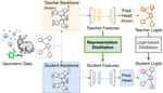 On Representation Knowledge Distillation for Graph Neural Networks