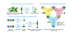 Hypergraph Factorisation for Multi-tissue Gene Expression Imputation